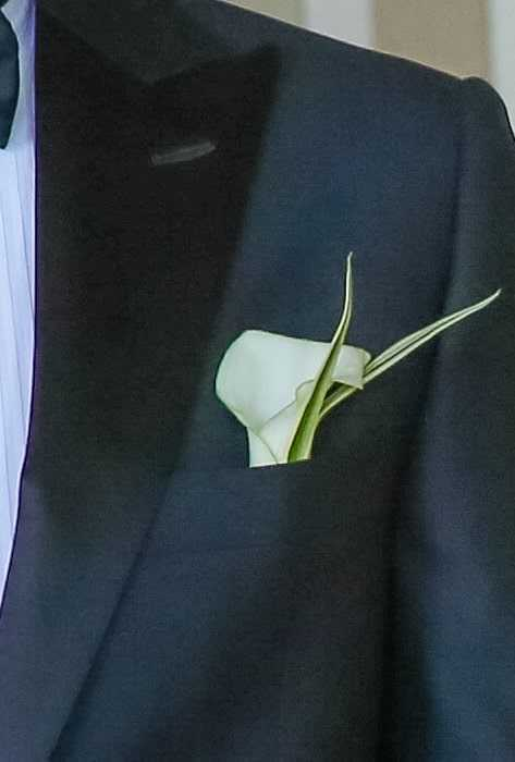 Gelin & Damat